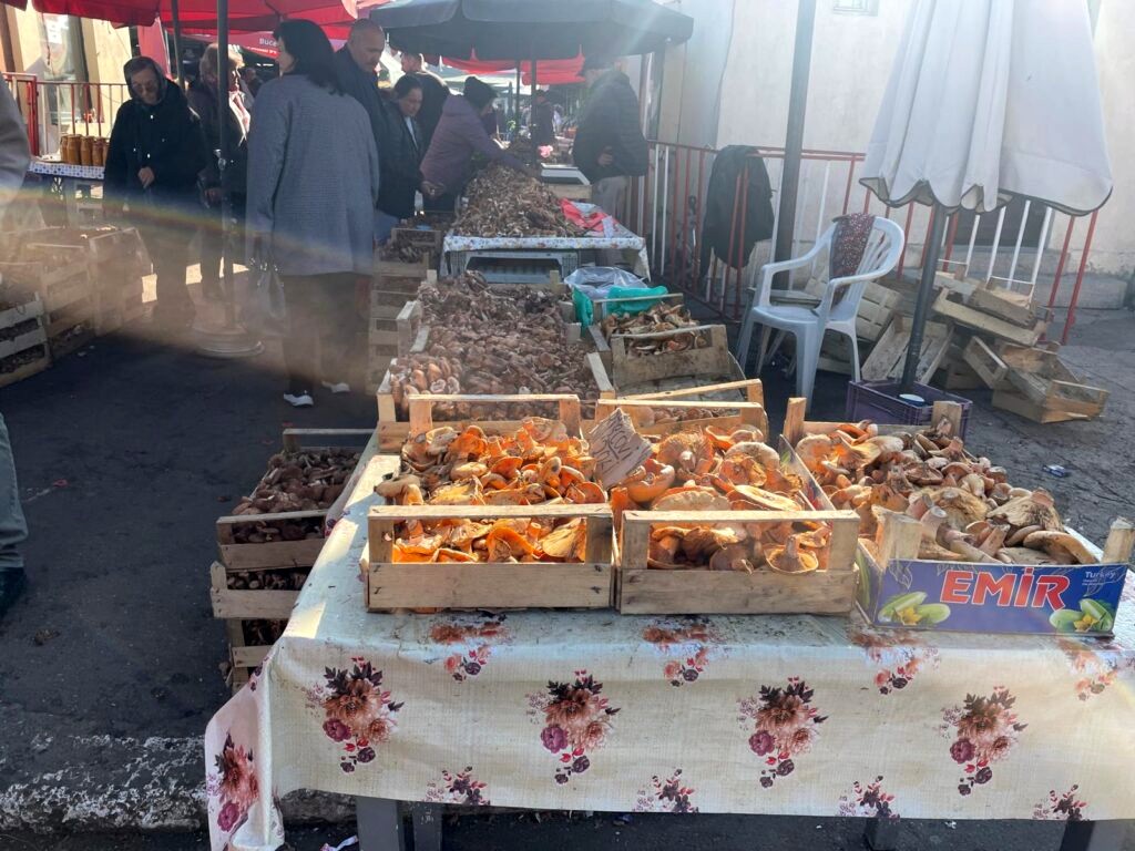 Creștere a intoxicațiilor cu ciuperci din piețe la Iași. Comercianții vând fără autorizație