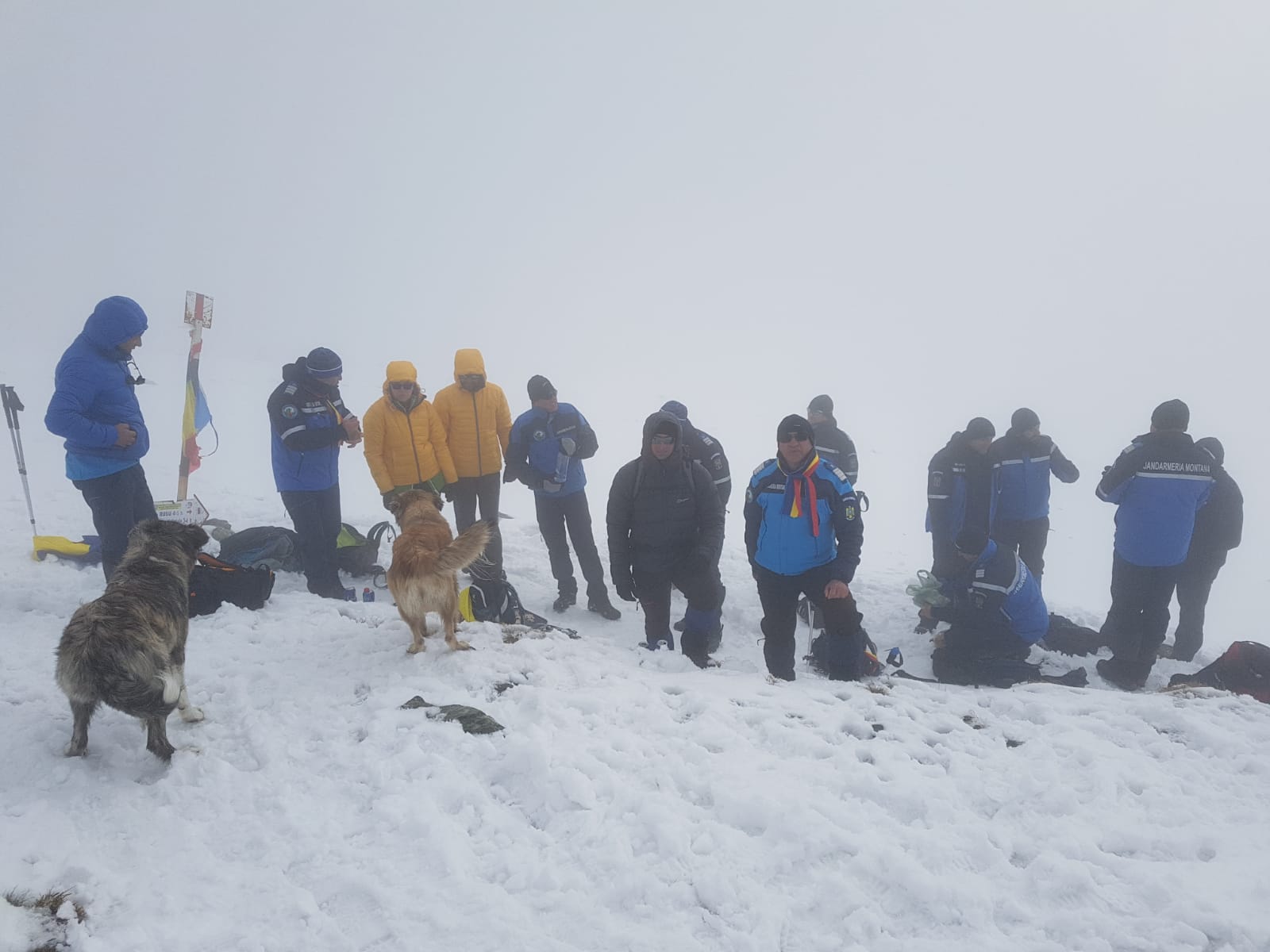 Jandarmii au pus tricolorul pe cei mai înalți munți din România. Au mers prin zăpadă până la gât, ca să pună steagul pe Vârful Omu - FOTO