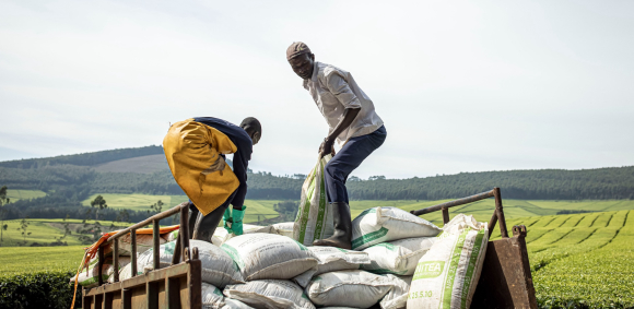 The temporary waiver on Moroccan fertilizer imports comes as Washington seeks to protect American agriculture from global supply chain disruptions and fertilizer shortages.