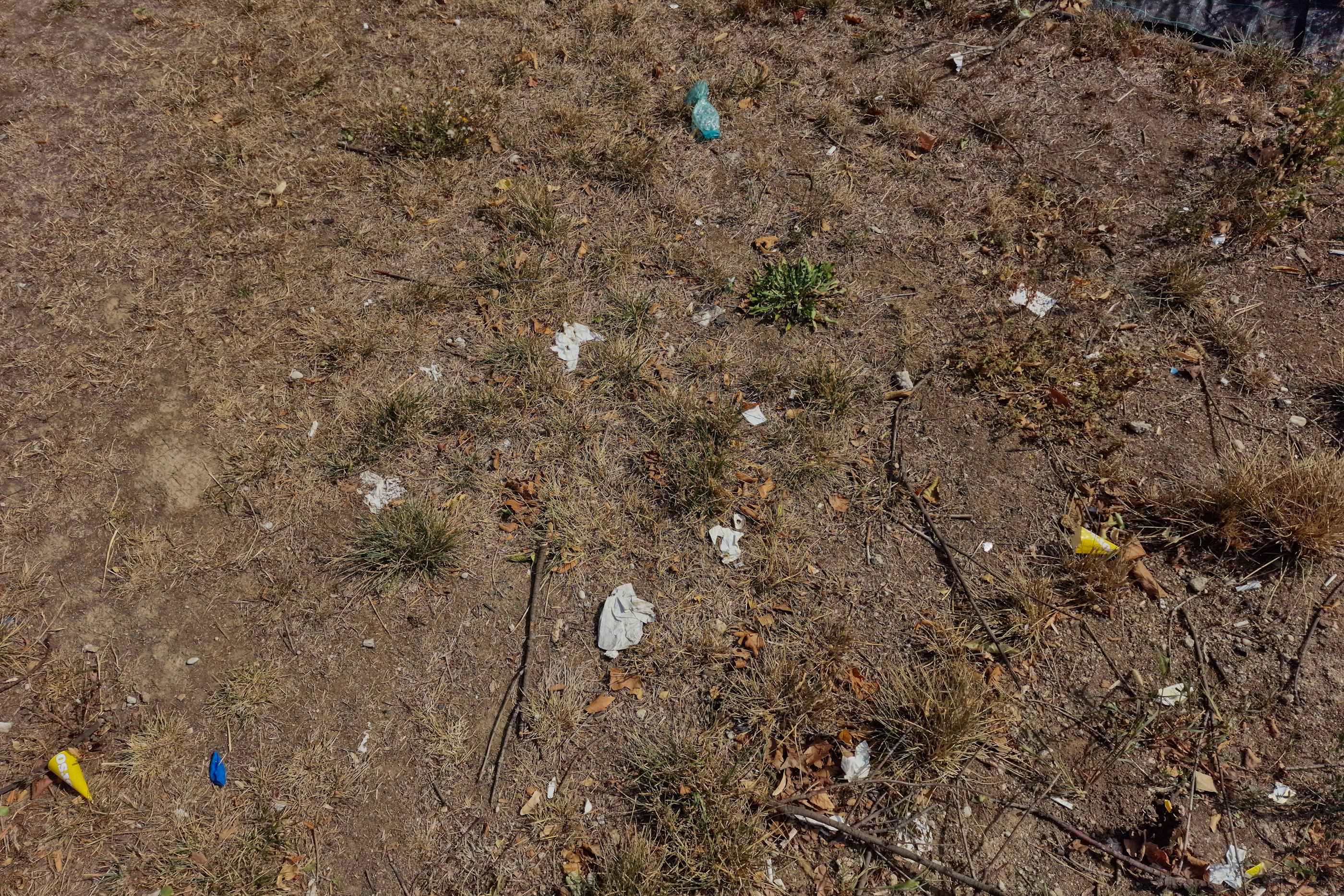 FOTO. În Parcul Circului din București, toată iarba e pârjolită. Rezistă, în schimb, gunoaiele
