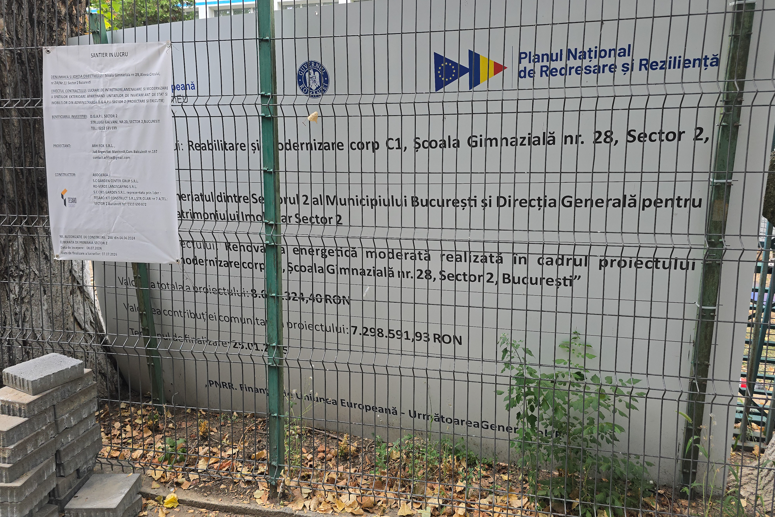 Au băgat excavatorul ca să facă șanțuri pentru gardul unei școli din București și au rupt rădăcinile a zeci de copaci