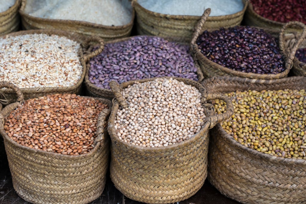 African countries facing the worst food insecurity in 2025