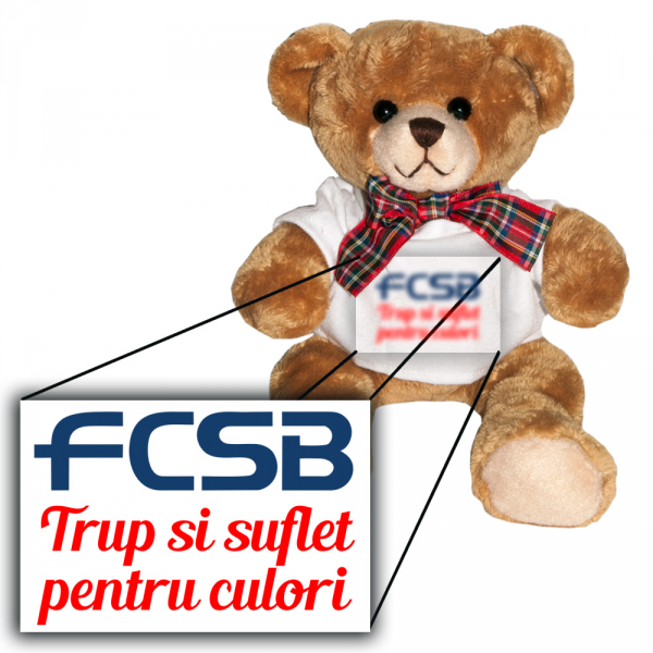 FCSB și-a deschis magazin oficial, care concurează fanii stemei glorioase  / GALERIE FOTO