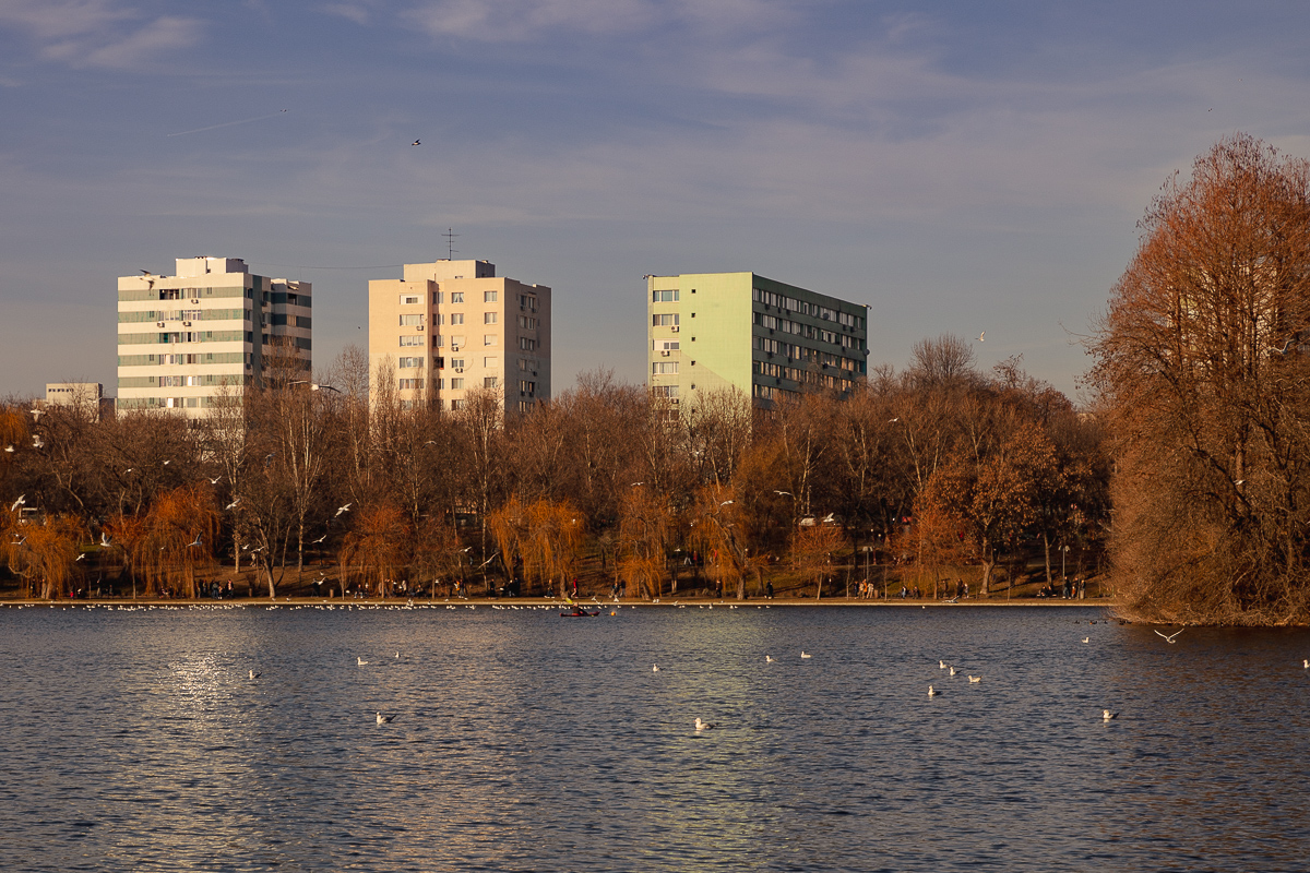 FOTOREPORTAJ Primăvara de pe 1 ianuarie a scos bucureștenii în parc. „Nu am prea realizat că sunt Sărbătorile de iarnă”