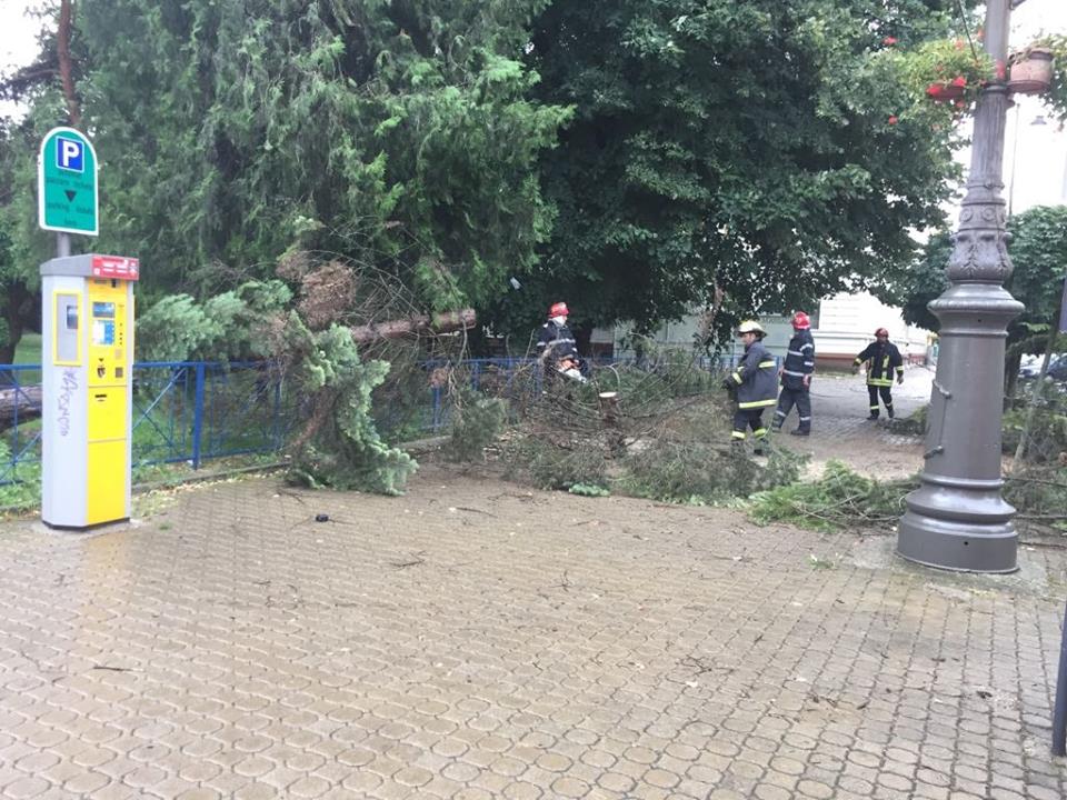 FOTO / Acoperişuri smulse şi copaci doborâţi de vânt, la Arad. S-a înregistrat și un deces