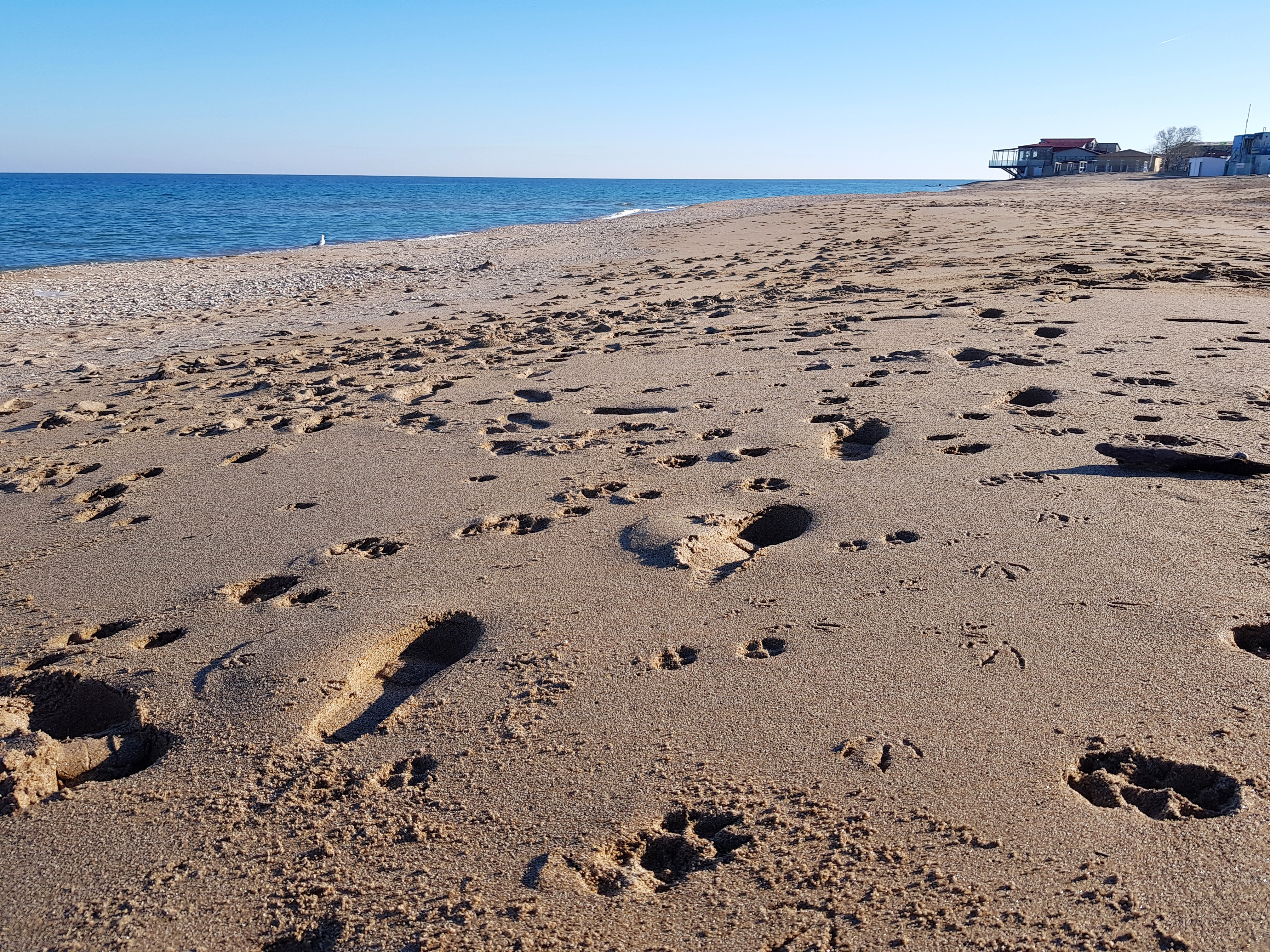 FOTOREPORTAJ Cum arată stațiunea Mamaia iarna: marea liniștii și plaja pescărușilor