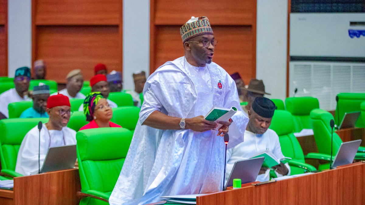 Deputy Speaker, Benjamin Kalu on the floor of parliament during a plenary session in the House of Representatives. [Facebook]