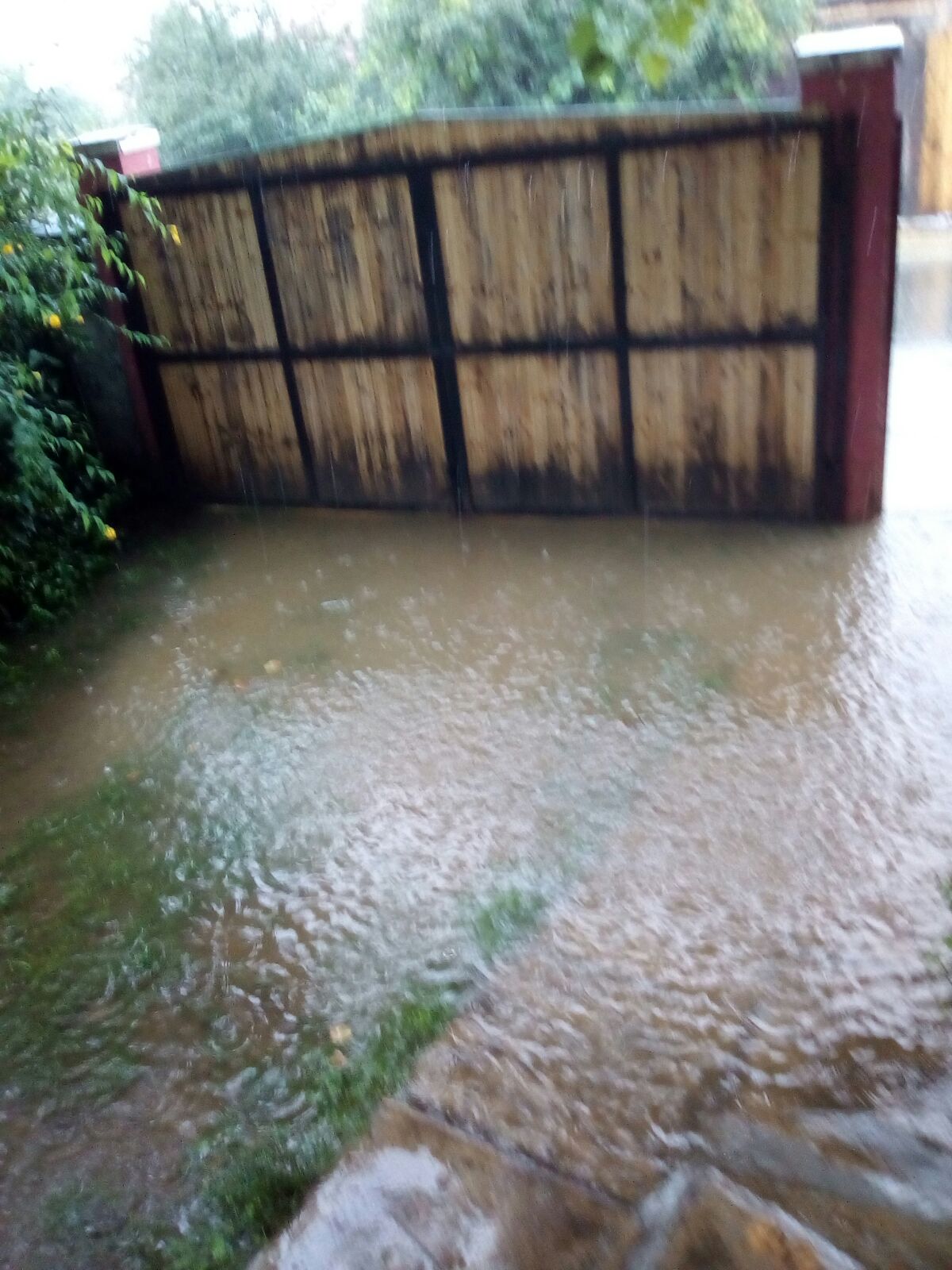 Mai multe gospodării din zona Făgărașului au fost inundate. Doi bolnavi au fost evacuați din case de către pompieri/ VIDEO&FOTO