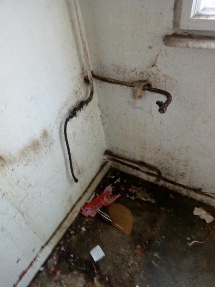 FOTO/ Apartamentele repartizate medicilor de la Spitalul de Psihiatrie Galați, pline de gunoaie, cu pereți scorojiți, țevi ruginite și geamuri sparte