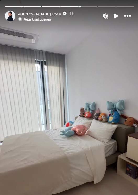 Noi imagini din penthouse-ul Andreei Popescu