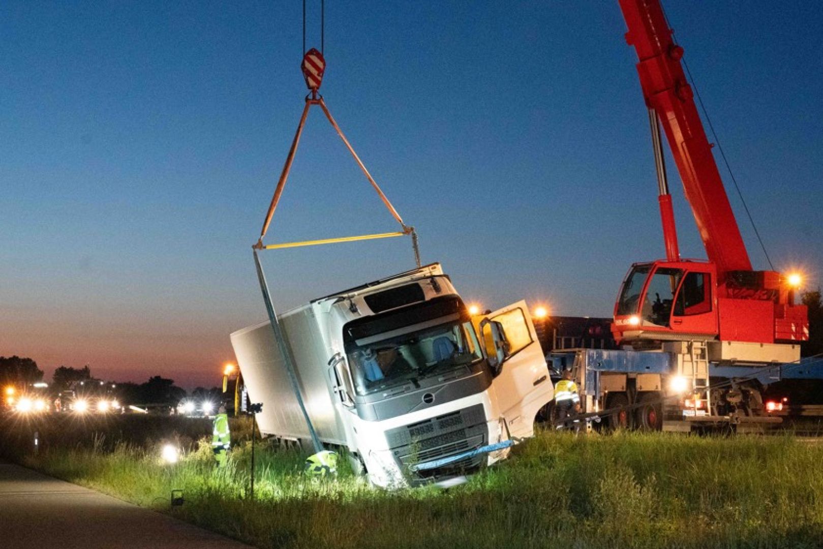 Șofer român de TIR scos de pe șosea de o turmă de căprioare, în Germania