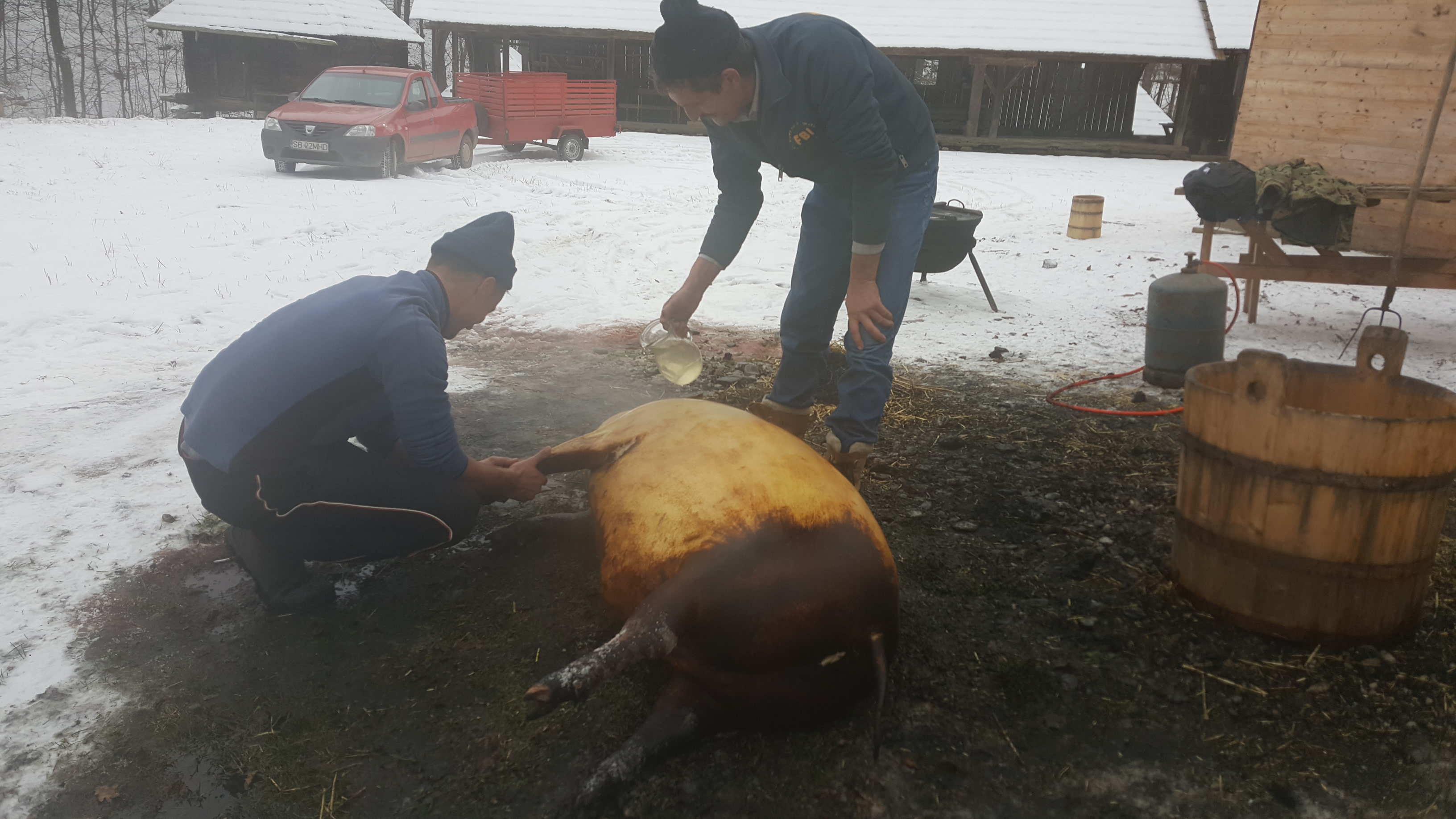 Tradiția Ignatului a fost pusă în scenă la Sibiu GALERIE FOTO