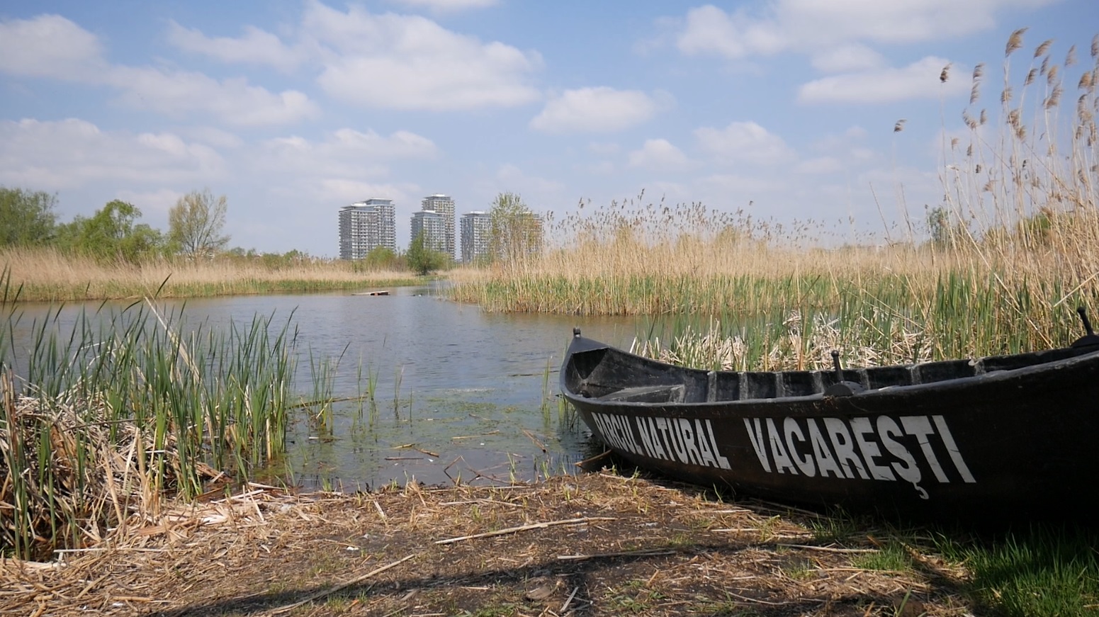 FOTO&VIDEO | Vali, băiatul care s-a născut în Delta Văcărești, iar acum este ranger al parcului: „Aici e viața mea”