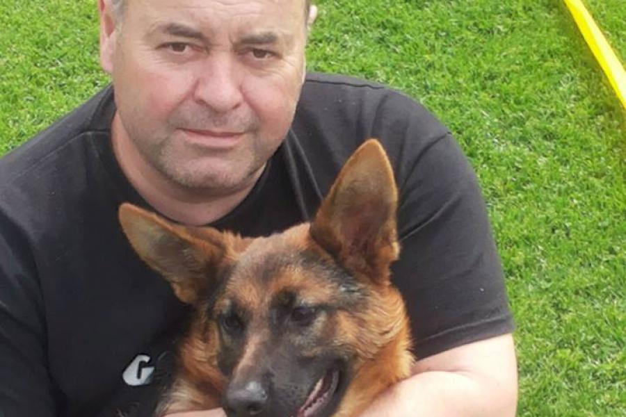 Medicul veterinar care tratează gratis câinii abandonați pe stradă în Bistrița. „Patrupedele sunt fidele, bipezii nu”