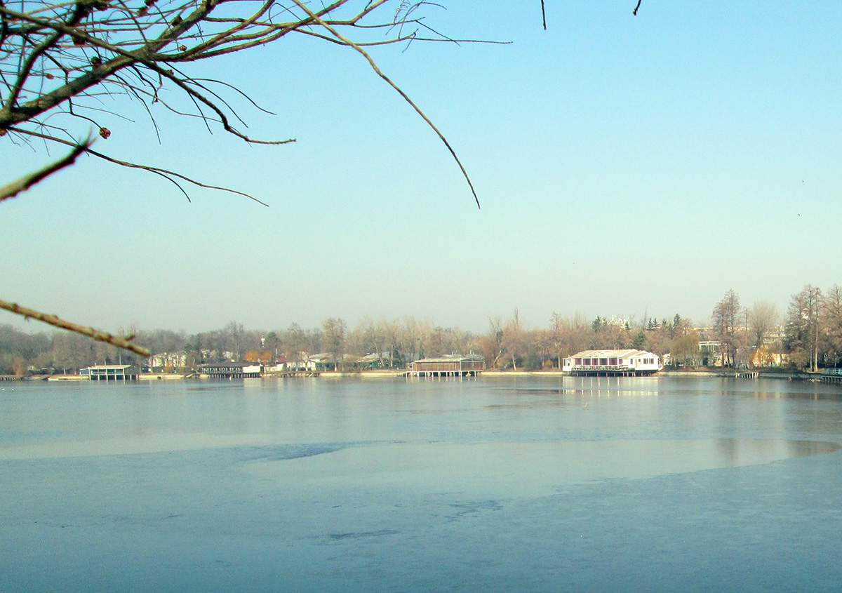 Bâlciul Herăstrău. Cel mai mare parc din București are 43 de cârciumi pe 110 hectare. În Paris, Bois de Boulogne se întinde pe 845 de hectare și are 2 cafenele şi 2 restaurante