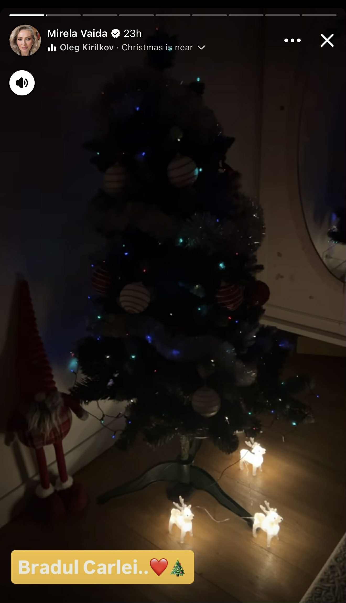 Cum arată cei patru brazi de Crăciun împodobiți de Mirela Vaida. Decor spectaculos și atmosferă de poveste în casa prezentatoarei