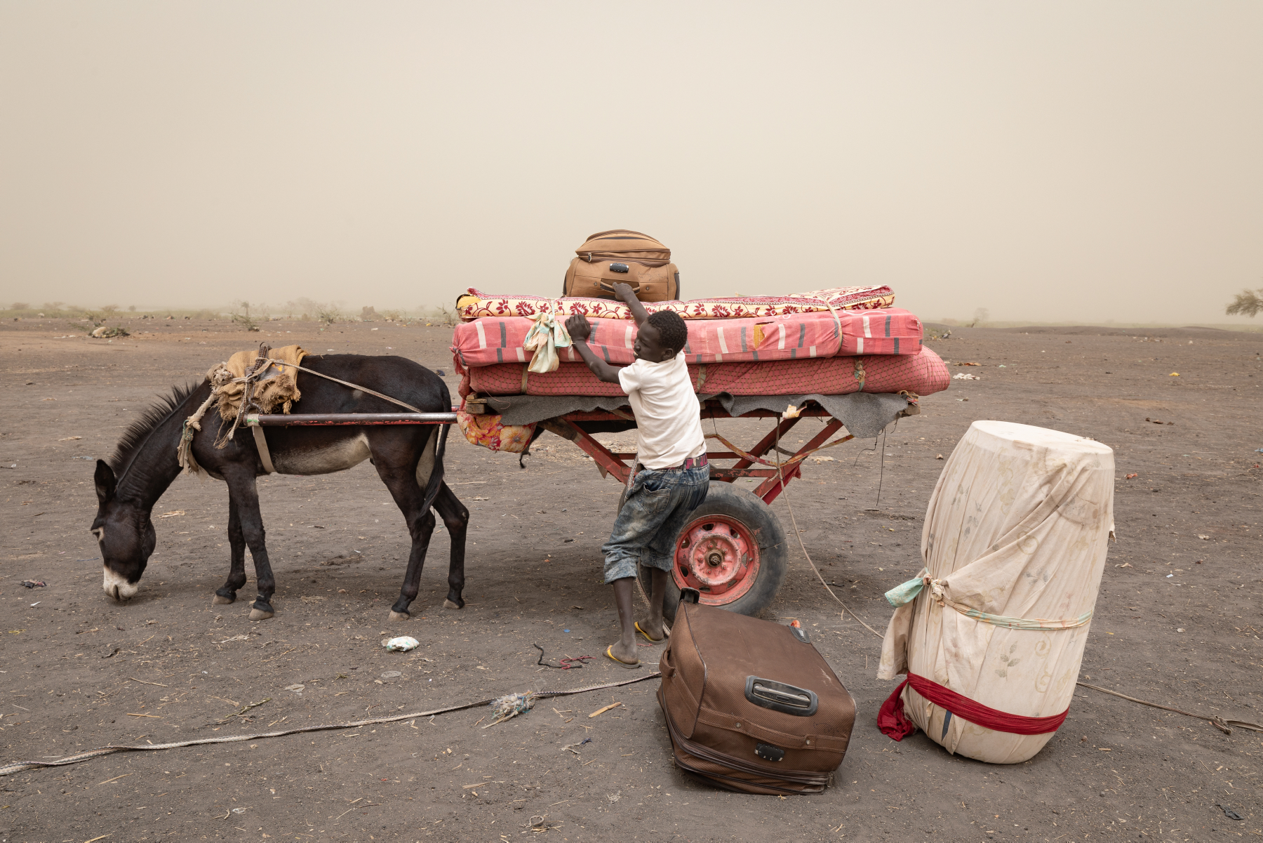 Przewozem bagaży uchodźców przez granicę zajmują się dzieci. Linię życia zapewnia ośli transport