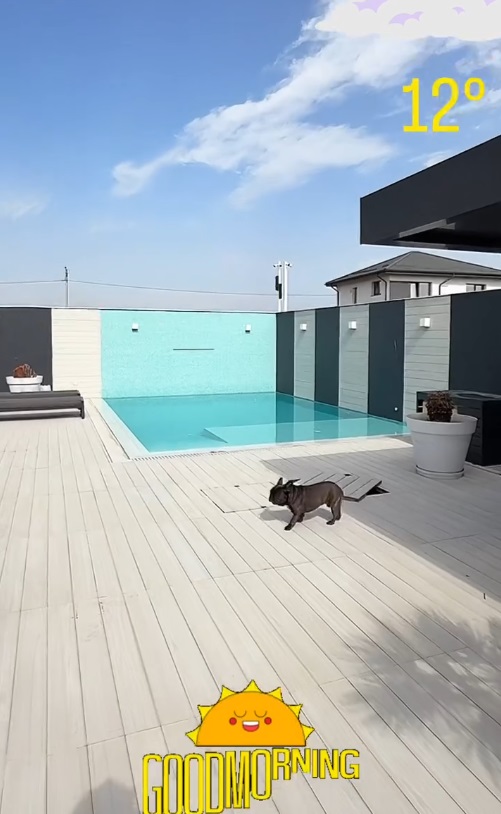 Imagini din curtea casei lui Dorian Popa, decorată cu pietre albe și palmieri. Nu are nici gazon, nici flori: „Am dat drumul la piscinică”