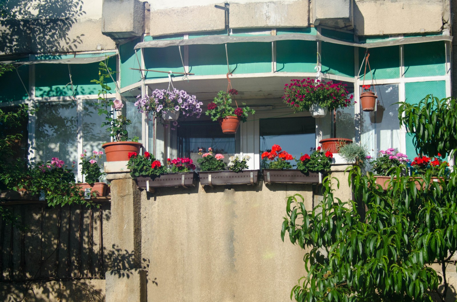 Primăria Capitalei a anunţat câştigătorii Concursului ”Cea mai frumoasă faţadă” GALERIE FOTO