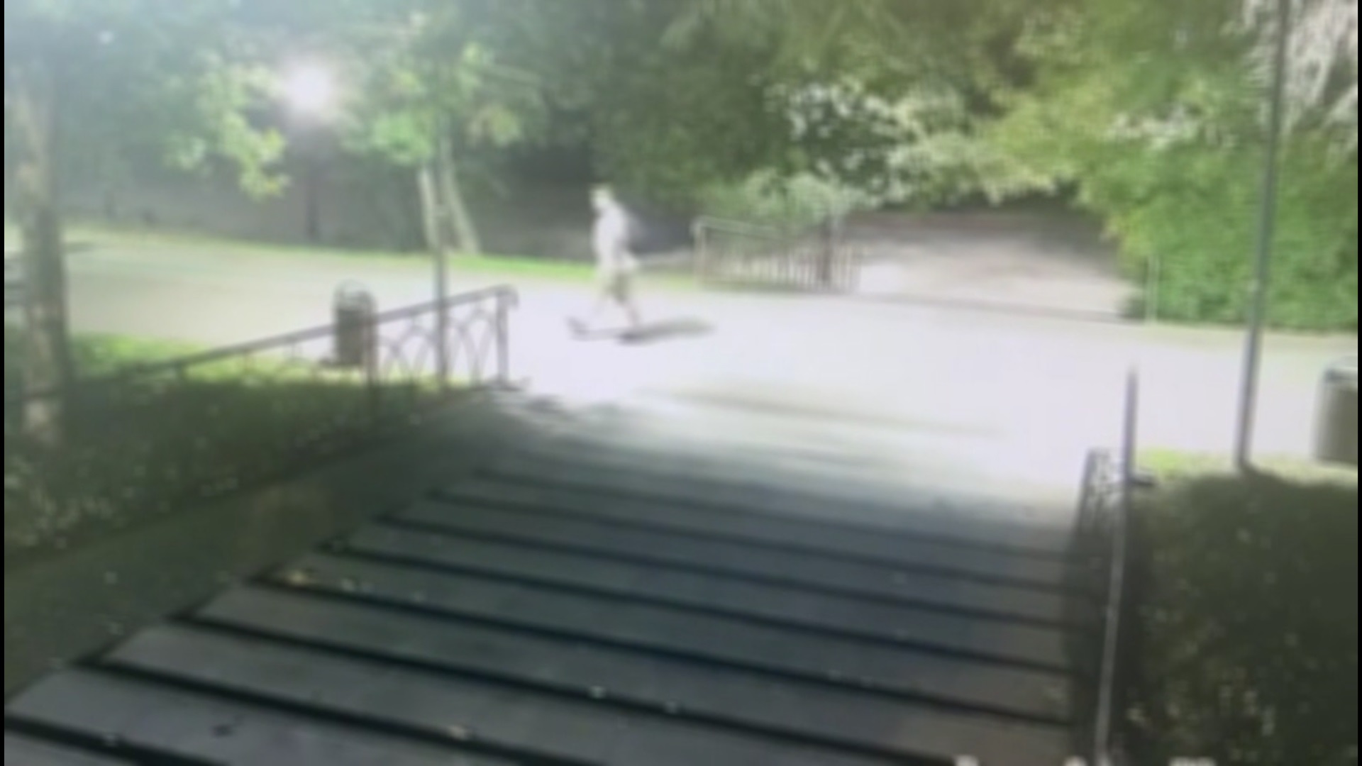 Bărbat arestat preventiv după ce a dat foc la vegetație în Parcul IOR din București. A fost dat de gol de camerele video