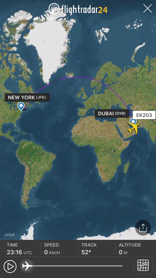FOTO & VIDEO | Avion băgat în carantină la New York, după ce 100 de pasageri au început să se simtă rău. Forțele anti-terorism investighează incidentul