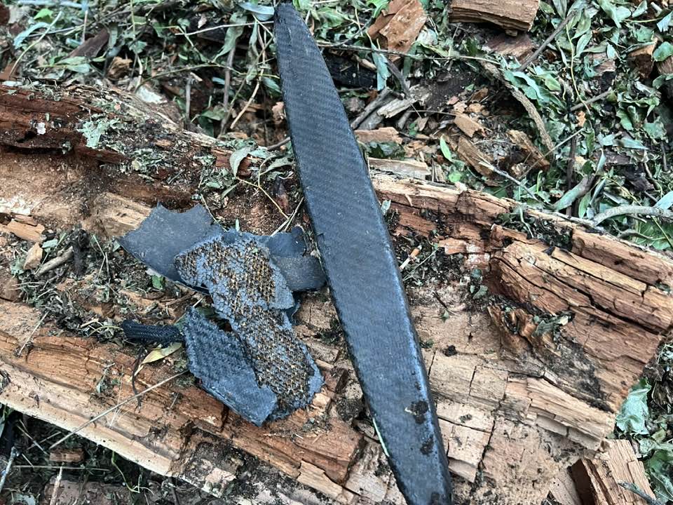 Imagini din locul unde au fost găsite, joi, resturile de dronă rusească pe teritoriul României: copaci carbonizați și cratere