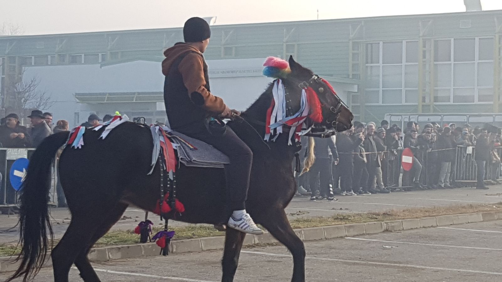 REPORTAJ: De Bobotează, caii din orașul lui Nea Mărin au fost stropiți cu agheasmă ca să nu se prindă blestemele de ei| FOTO