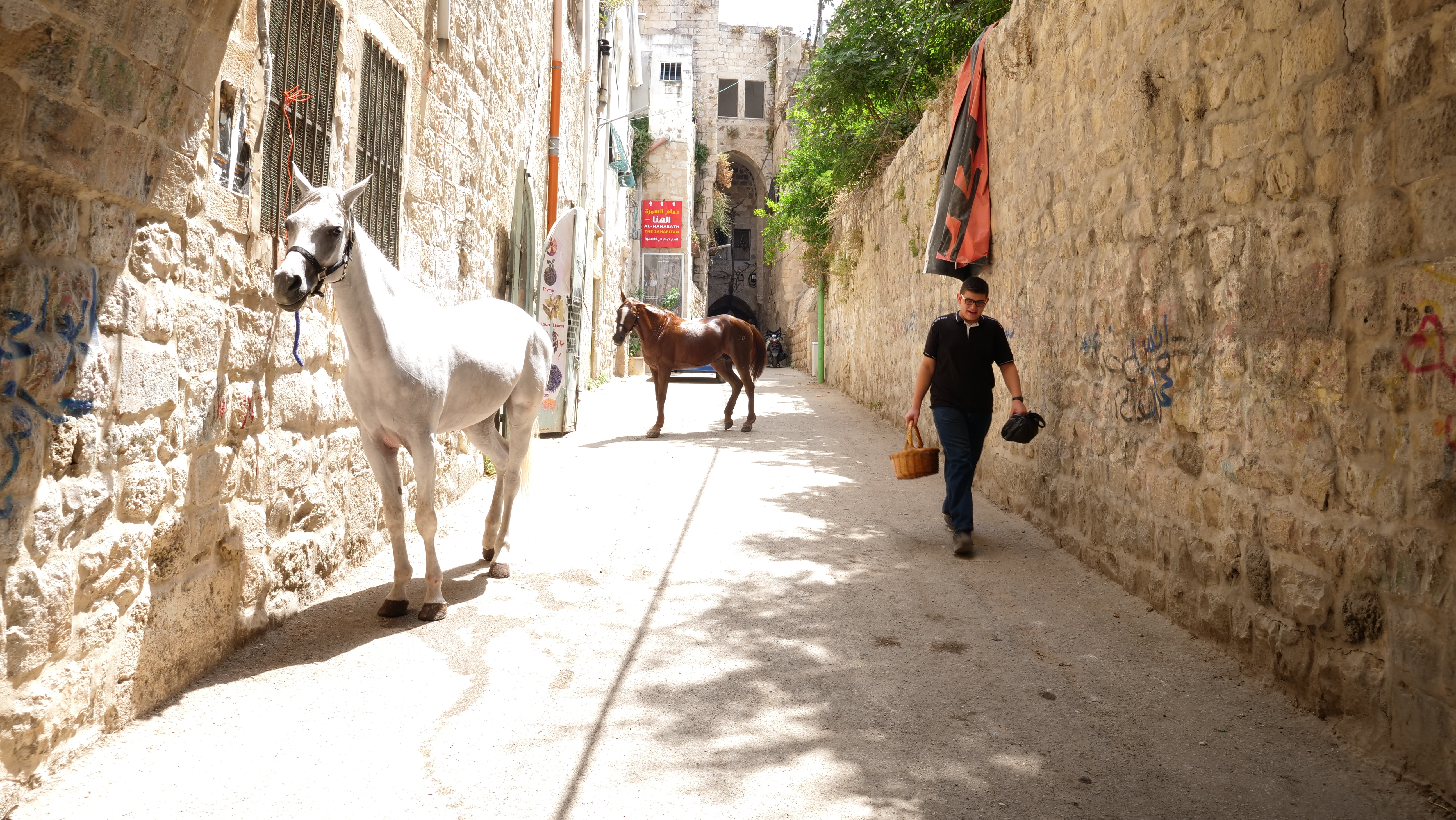 CORESPONDENȚĂ DIN PALESTINA. Viața și moartea în două orașe devastate de conflictele militare. Rezistența „martirilor”, acte de terorism pentru israelieni