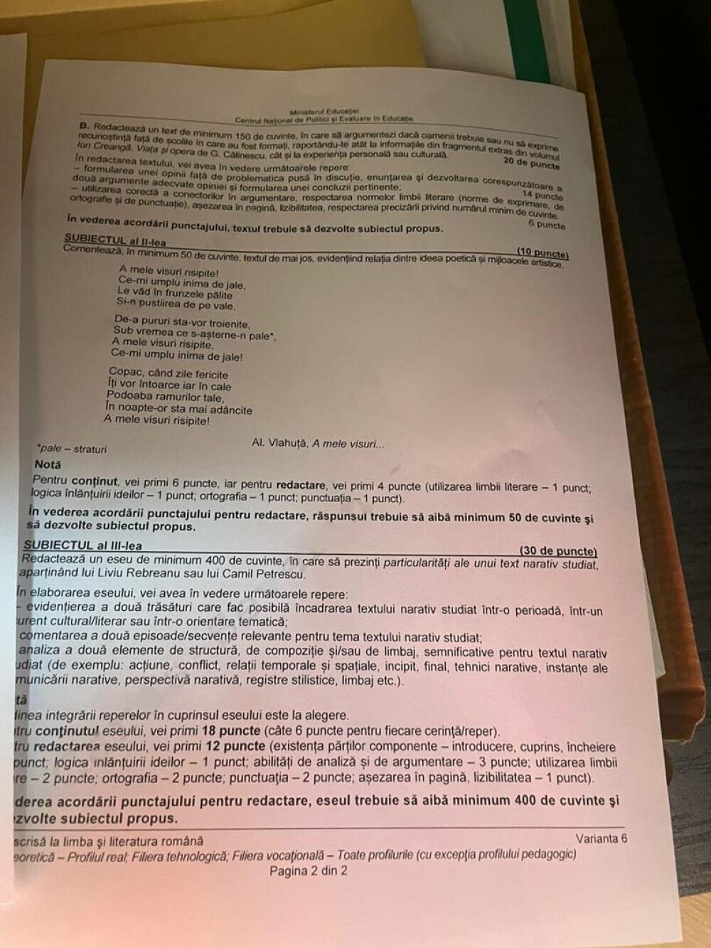 Rezolvarea subiectelor la Română la BAC 2023. Ce spune profesoara Cristina Marian Ionescu despre subiectele primite de elevi