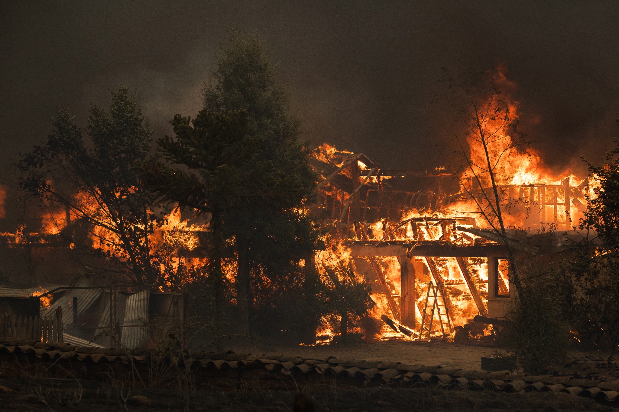 Cel puțin 23 de oameni au murit în urma incendiilor de vegetaţie, în Chile