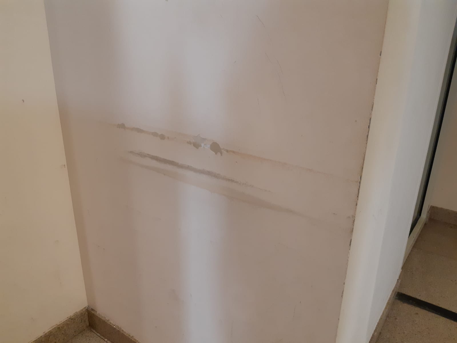 Imagini cu mizeria din Biblioteca Națională: pereți mânjiți, praf, parchet rupt. Directorul Cioroianu spune că „nu are bani” și îi ceartă pe cititori