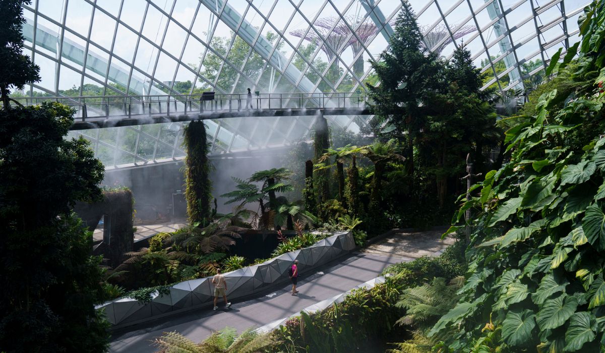Cel mai frumos aeroport din lume are roboți cu AI care spală podelele, o grădină botanică cu fluturi și o cascadă: „Ai ce face până la decolare”