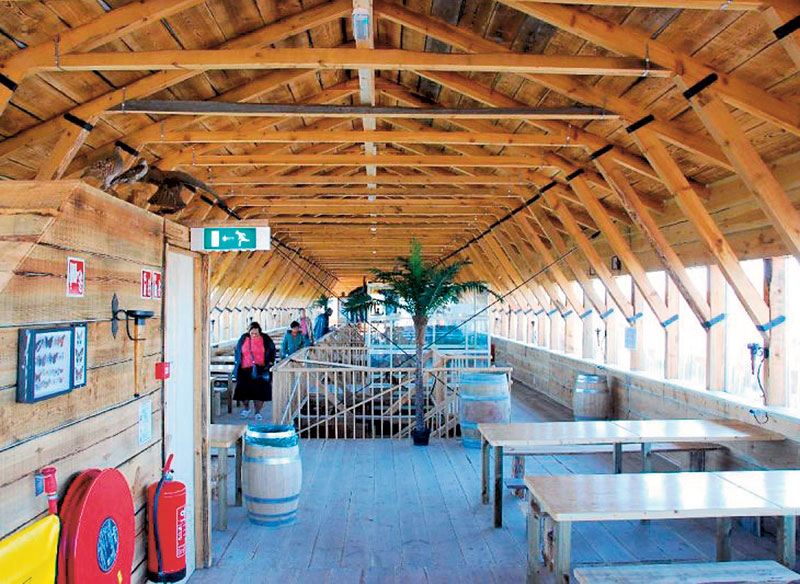 Olandezul care a construit Arca lui Noe vrea să o ducă în Israel, dar nu mai are bani