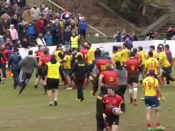 Forurile din rugby investighează prestația arbitrului român Vlad Iordăchescu la meciul Belgia - Spania | FOTO&VIDEO