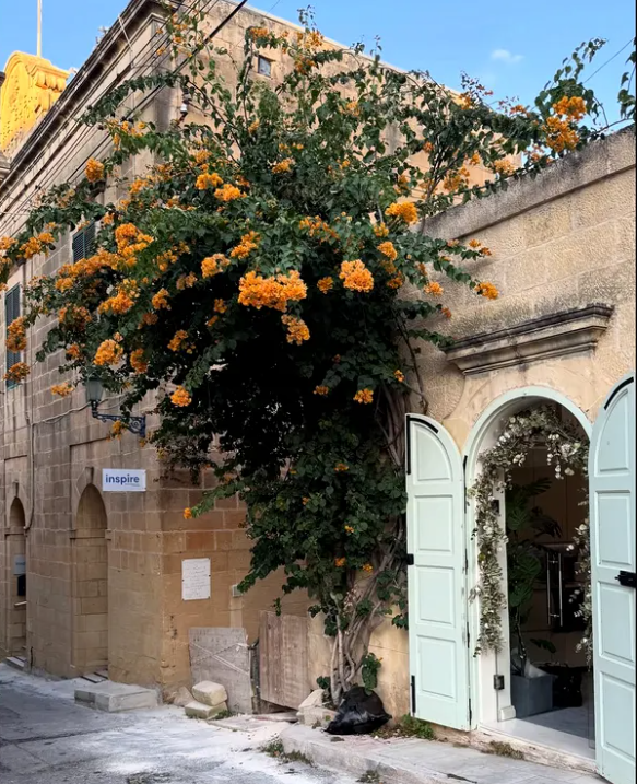Cum a apărut Doina Teodoru pe insula Gozo din Malta. Fosta iubită a lui Cătălin Scărlătescu a împlinit 36 de ani