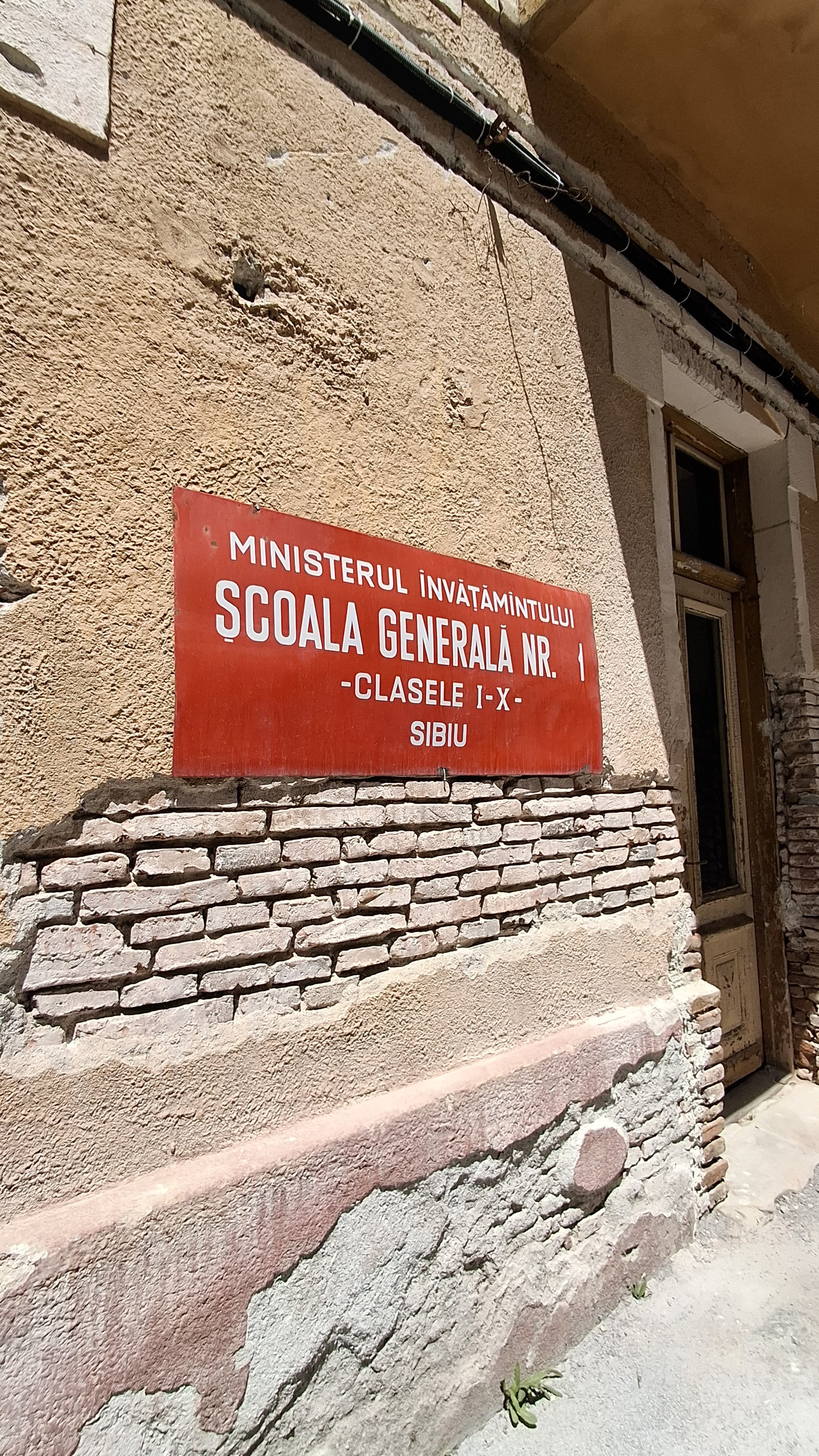 Pictorul Ștefan Câlția: Nicolae Ceaușescu a fost un criminal, le-a făcut românilor o „teribilă operație"
