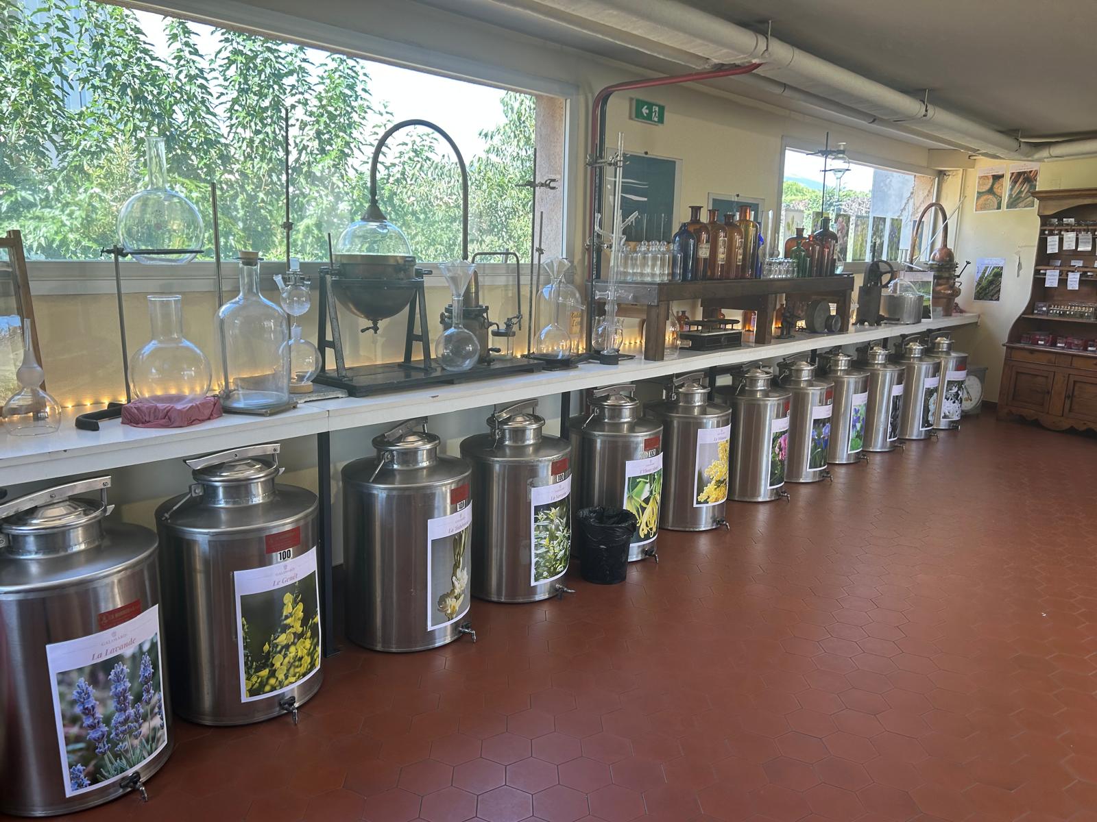 Românca Anesia Dican, între cei 200 de parfumieri ai lumii. Lucrează la Galimard, cea mai veche casă din Grasse, capitala mondială a miresmelor: „Are 1.000 de mirosuri. Nu alcool, nu tutun, nu condimente! Din 200, 40 sunt în Franța, 38 aici”. Ce parfumuri recomandă