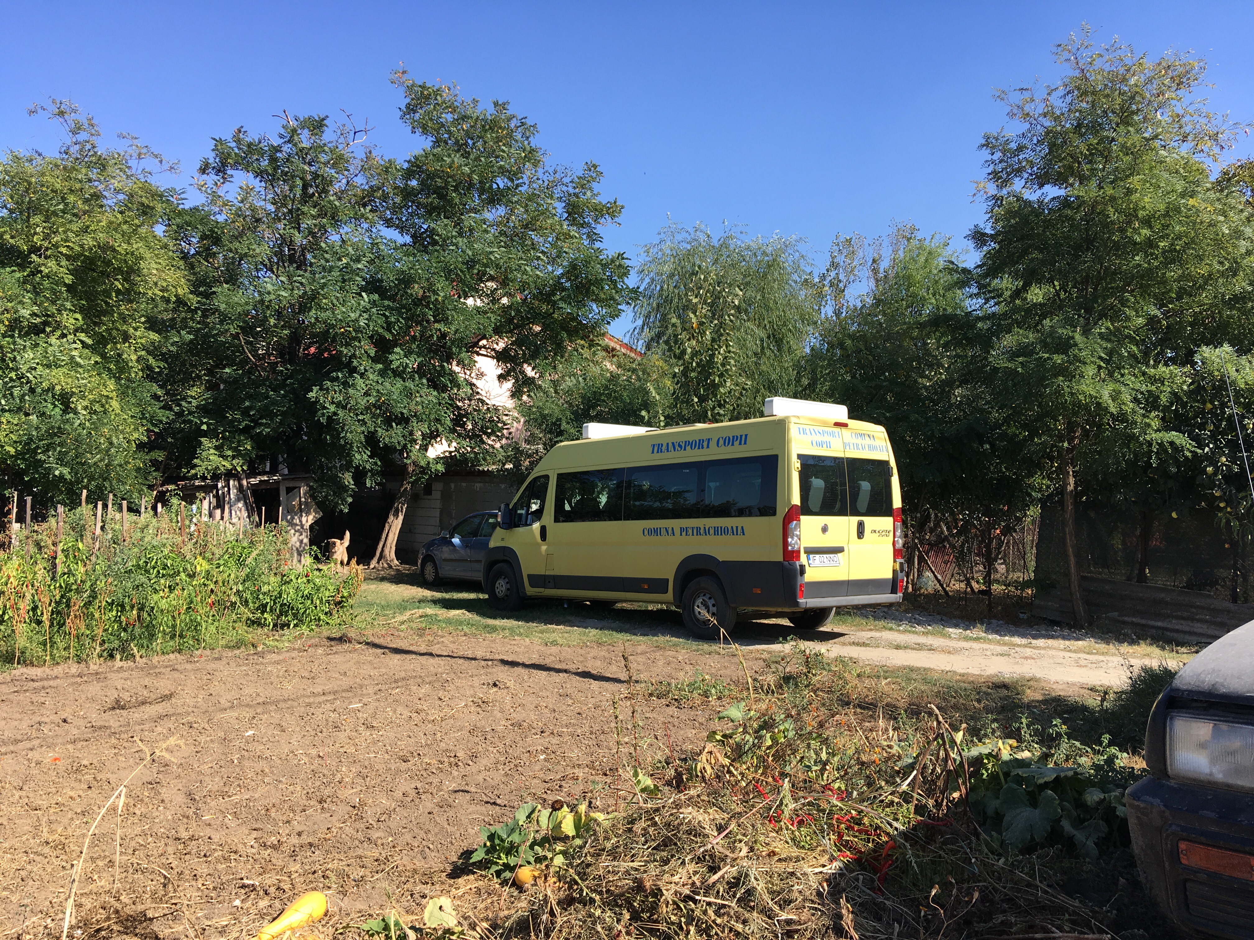 „Polițistul și primarul zic că suntem jegoși. Dar suntem amărâți, nu jegoși”. Cazul elevei coborâte din autobuz: discriminare sau corectitudine politică?