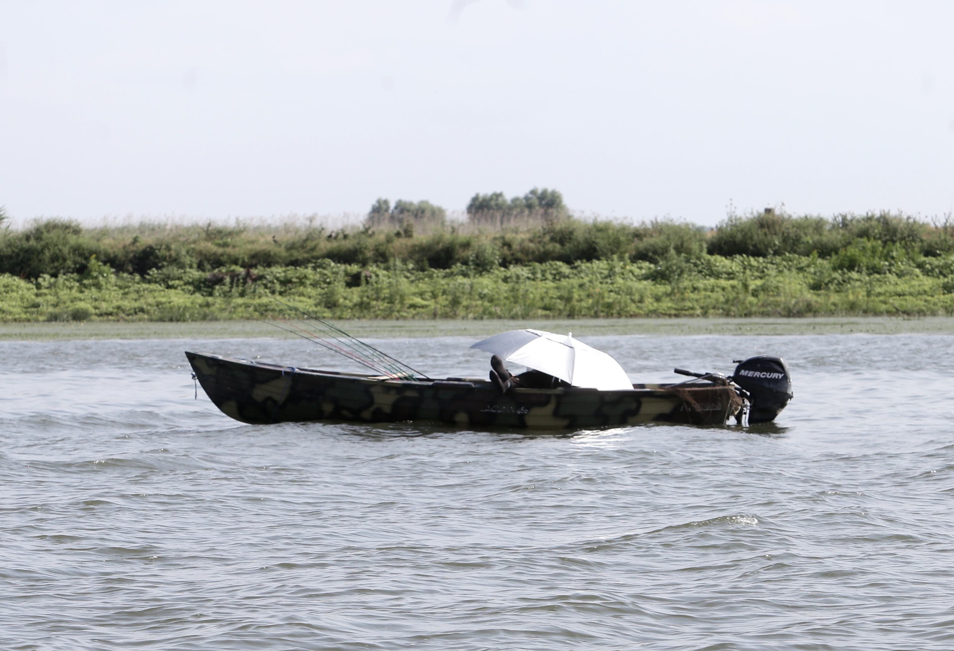 FOTOREPORTAJ/ Prin Delta Dunării, în căutarea sălbăticiei