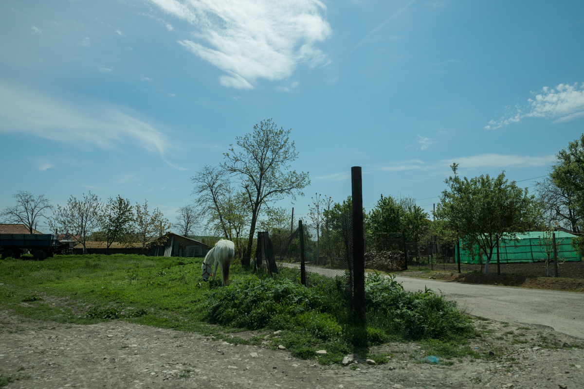 „M-au bătut până mi-a plesnit carnea”. Polițiștii dintr-o comună din Tulcea sunt acuzați de tortură, amenințări și umilințe