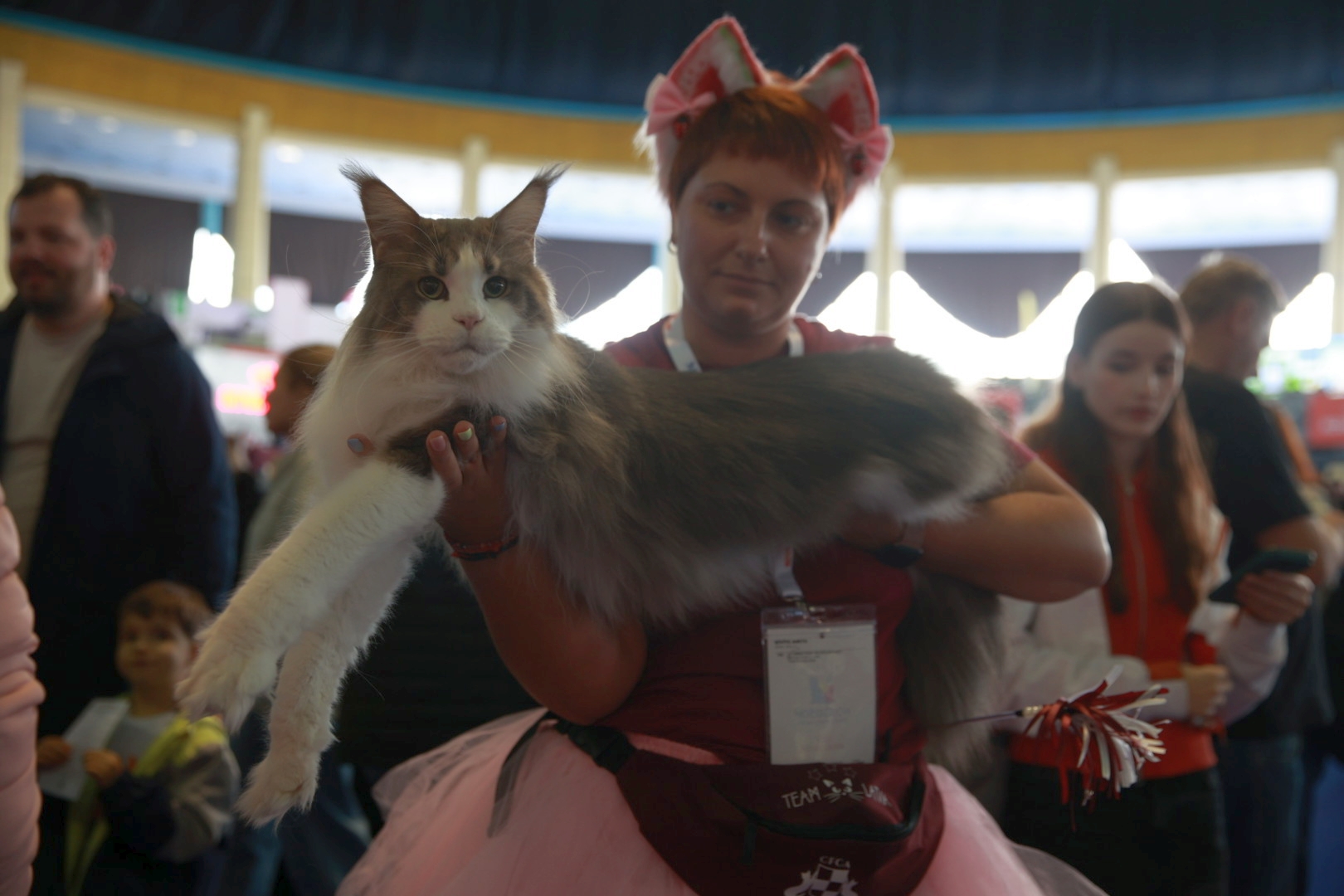 Libertatea a mers la Campionatul Mondial Felin. Bucureștiul, capitala mondială a pisicilor: peste 750 de feline din întreaga lume au strălucit la Romexpo