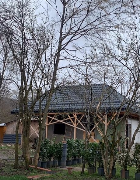 Casa de oaspeți consturiță de Mihaela Bilic pe Valea Prahovei