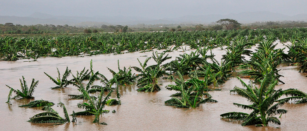 La Nina effect on farm lands
