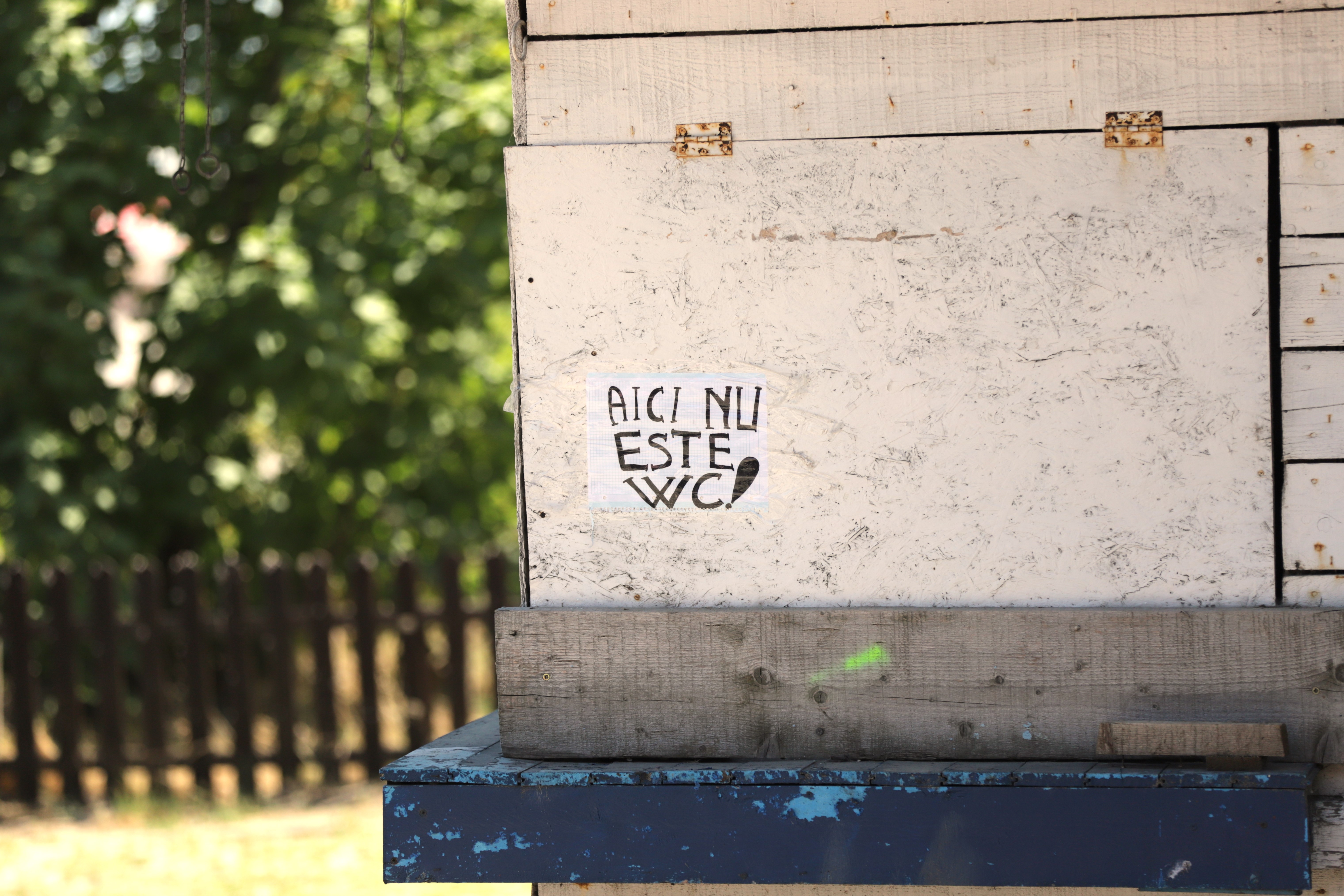 Prețurile de pe litoral: Eforie Nord vs Nisipurile de Aur. Cum se scumpeşte hamsia când înoată spre sudul Mării Negre