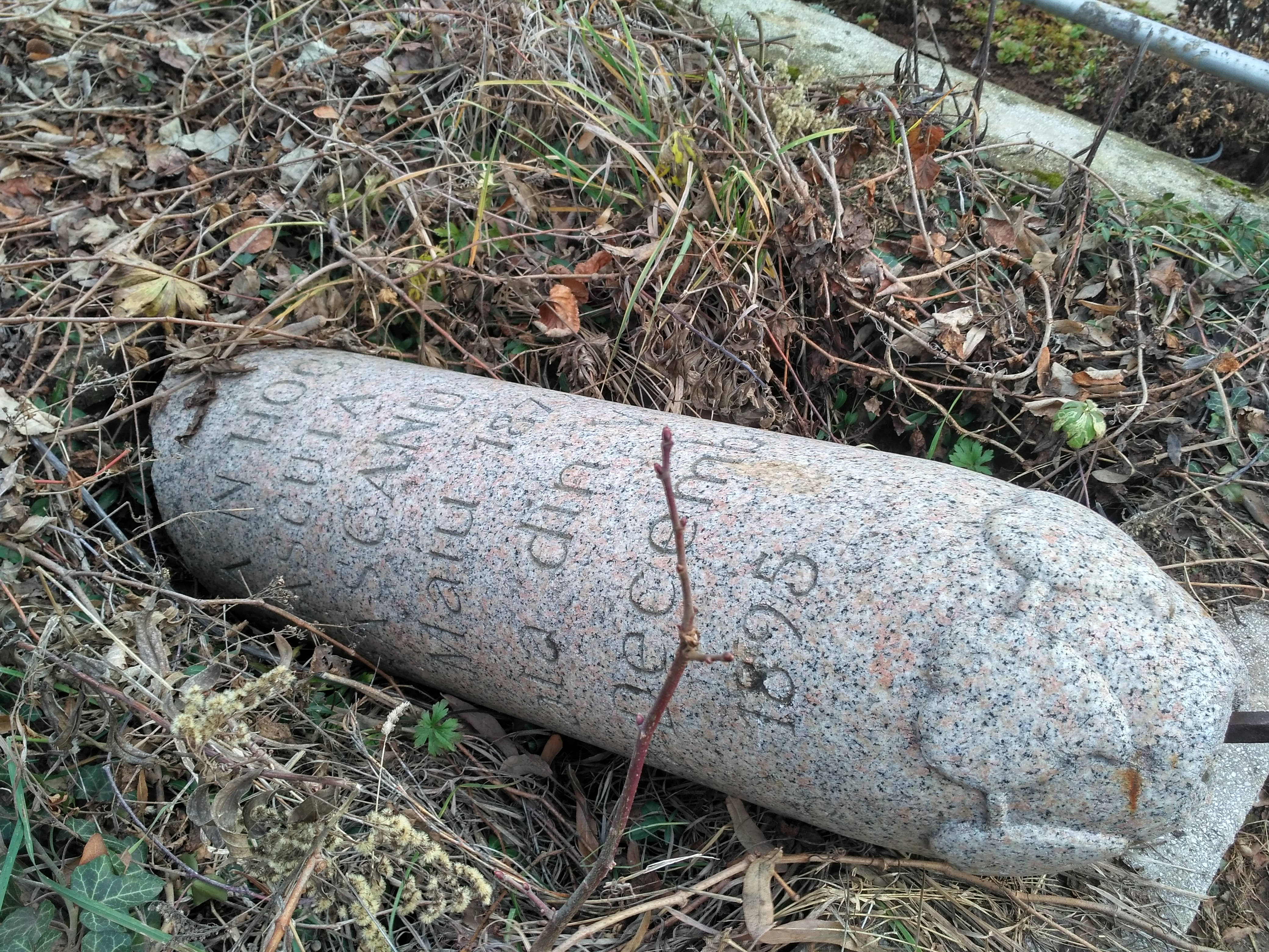 REPORTAJ/Cum a cinstit un ploieștean memoria nevestei care-l înșela. I-a ridicat cel mai original monument: ”Astfel este viața”/VIDEO