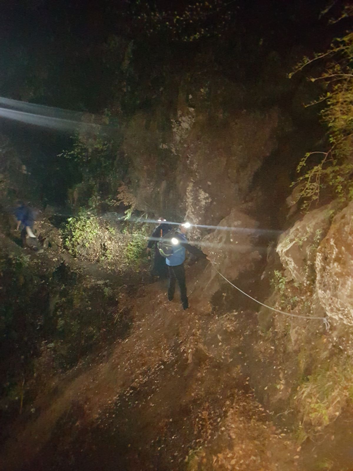 Doi turişti care s-au întâlnit cu un urs pe un traseu din Bucegi au stat o oră căţăraţi într-un brad