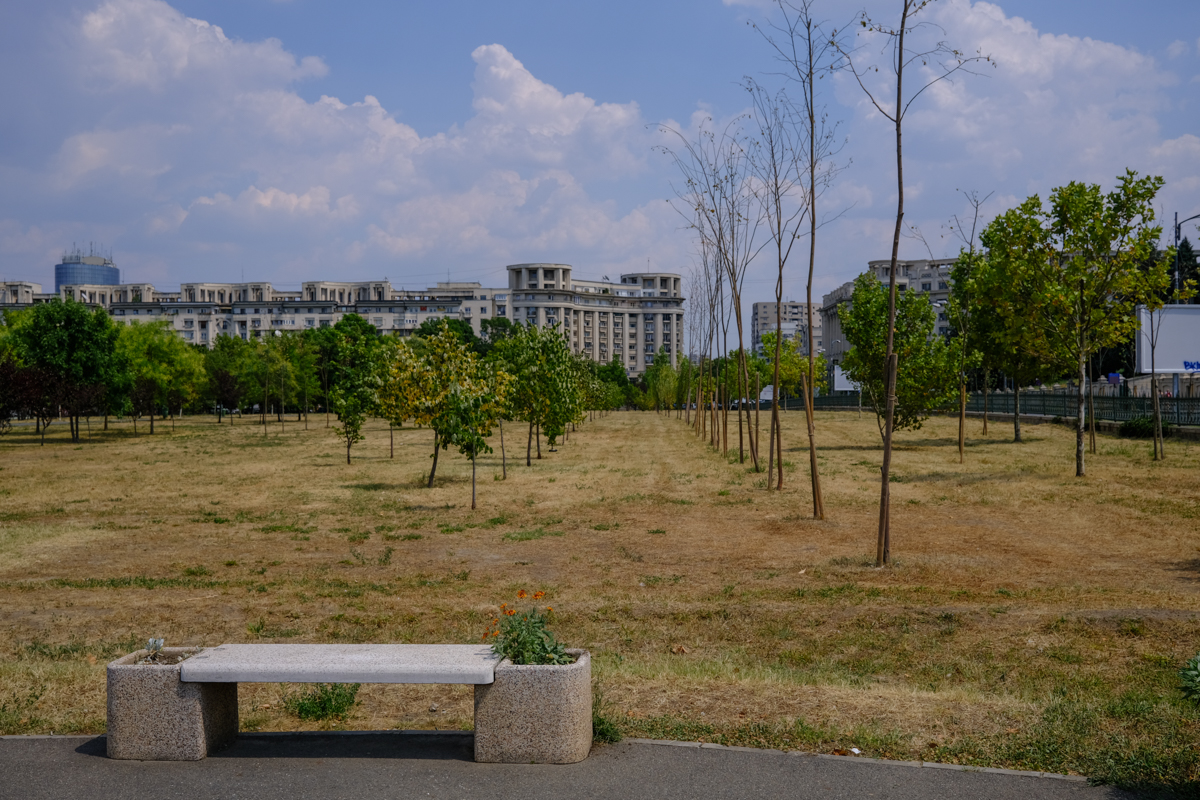 Concesionarea Parcului Izvor, între „festivalizarea orașului” și „nu-l distrugem, îl facem mai frumos”
