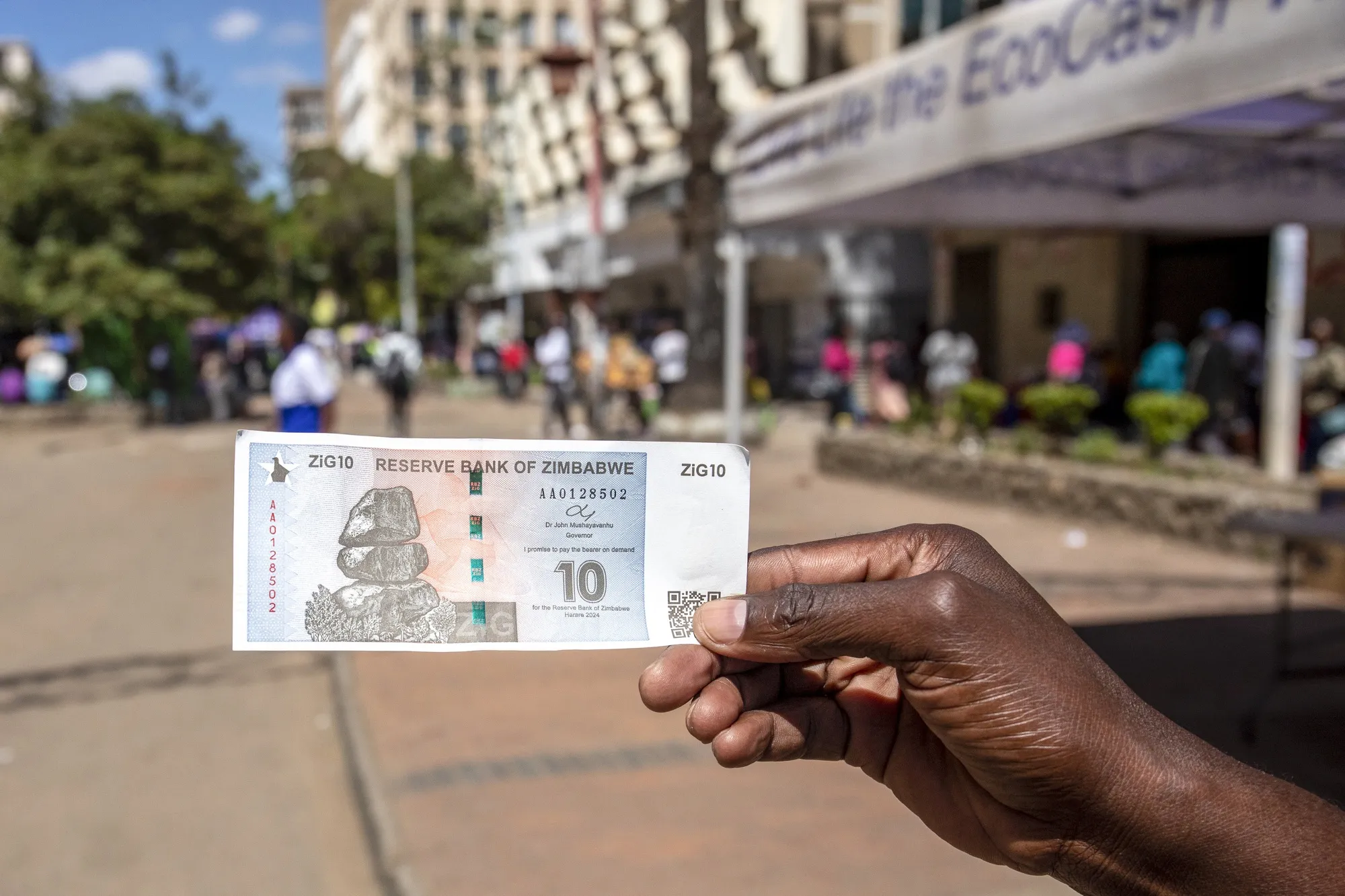 Zimbabwe’s currency hits strongest level against dollar since January on gold gains and reserve build-up