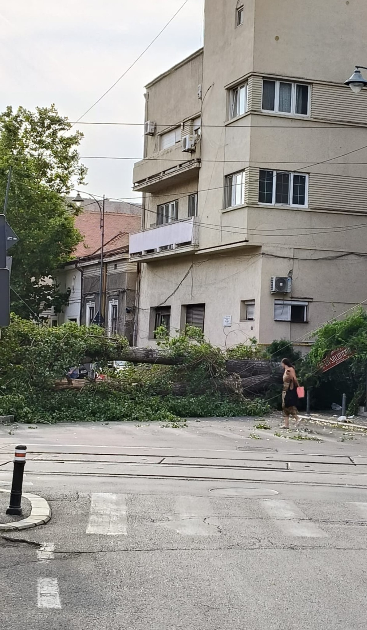 Urmările vijeliei care a făcut prăpăd în București și pe autostrada A1: o femeie a murit în Otopeni, mașini distruse de copaci, trafic îngreunat pe A1