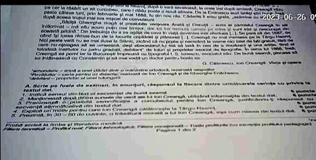 Rezolvarea subiectelor la Română la BAC 2023. Ce spune profesoara Cristina Marian Ionescu despre subiectele primite de elevi